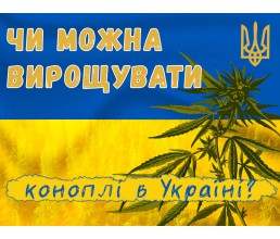 Вирощування марихуани в Україні: система правового регулювання
