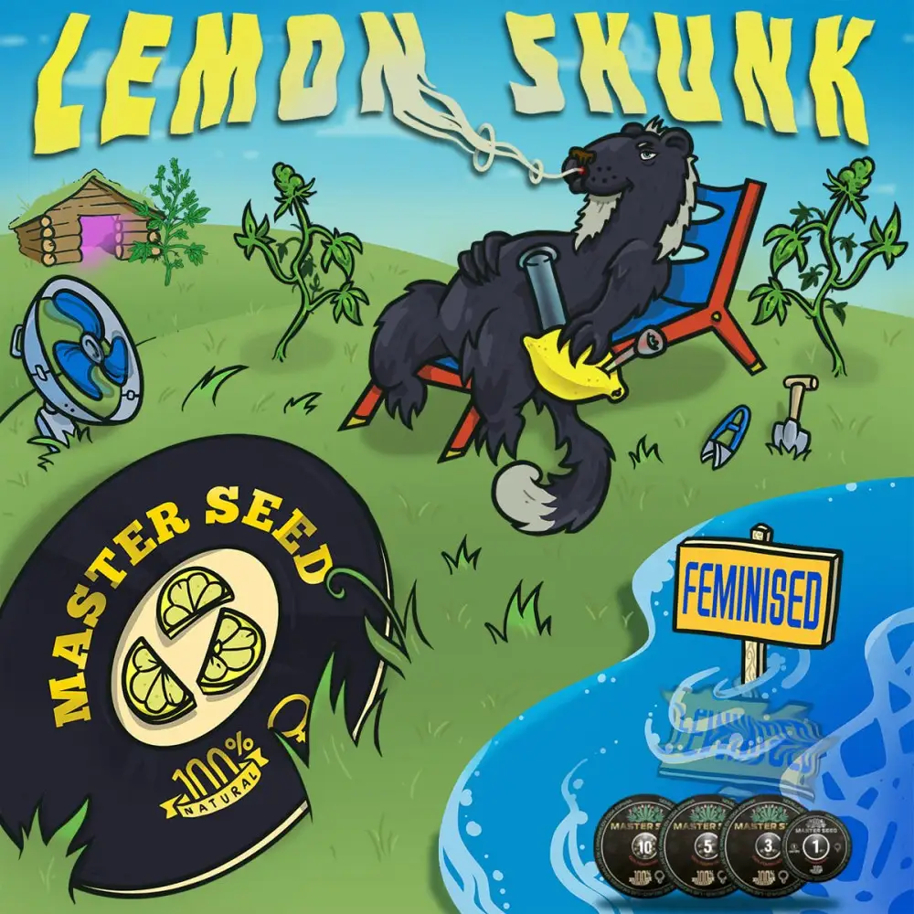 カリフォルニア産 レモンスカンク 20ml テルペン サティバ Насіння коноплі Lemon Skunk fem. Іспанія | MASTER-SEED