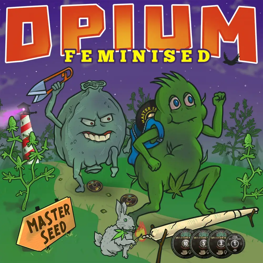 Семена конопли Opium fem. Испания | MASTER-SEED