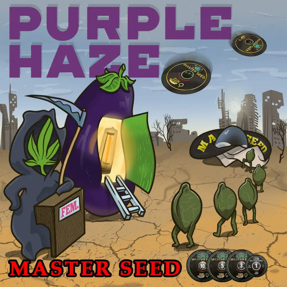 Купить семена конопли Purple Haze fem | сидбанк MASTER-SEED Испания