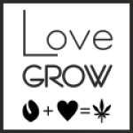 Семена марихуаны от производителя LOVE GROW