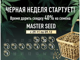 Черная неделя 2024 стартует! 