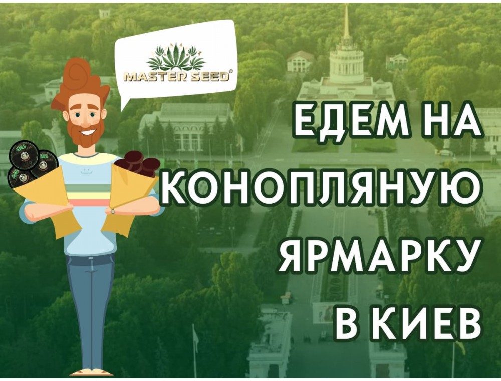 MASTER SEED на Конопляной ярмарке в Киеве