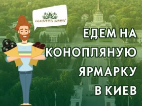 MASTER SEED на Конопляной ярмарке в Киеве