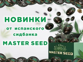 Новинки от MASTER SEED