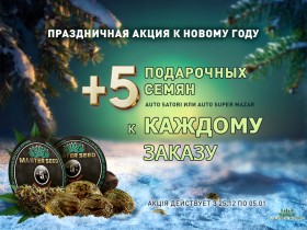 Новогодние подарки к каждому заказу