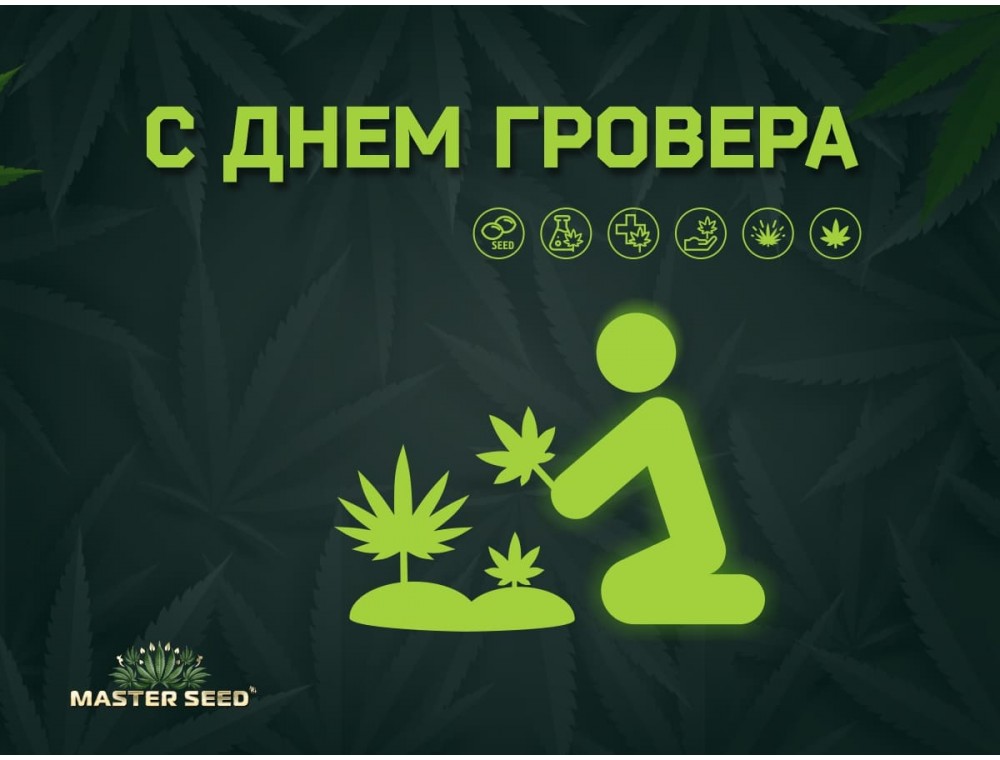 Поздравляем всех с самым «зелёным» праздником!