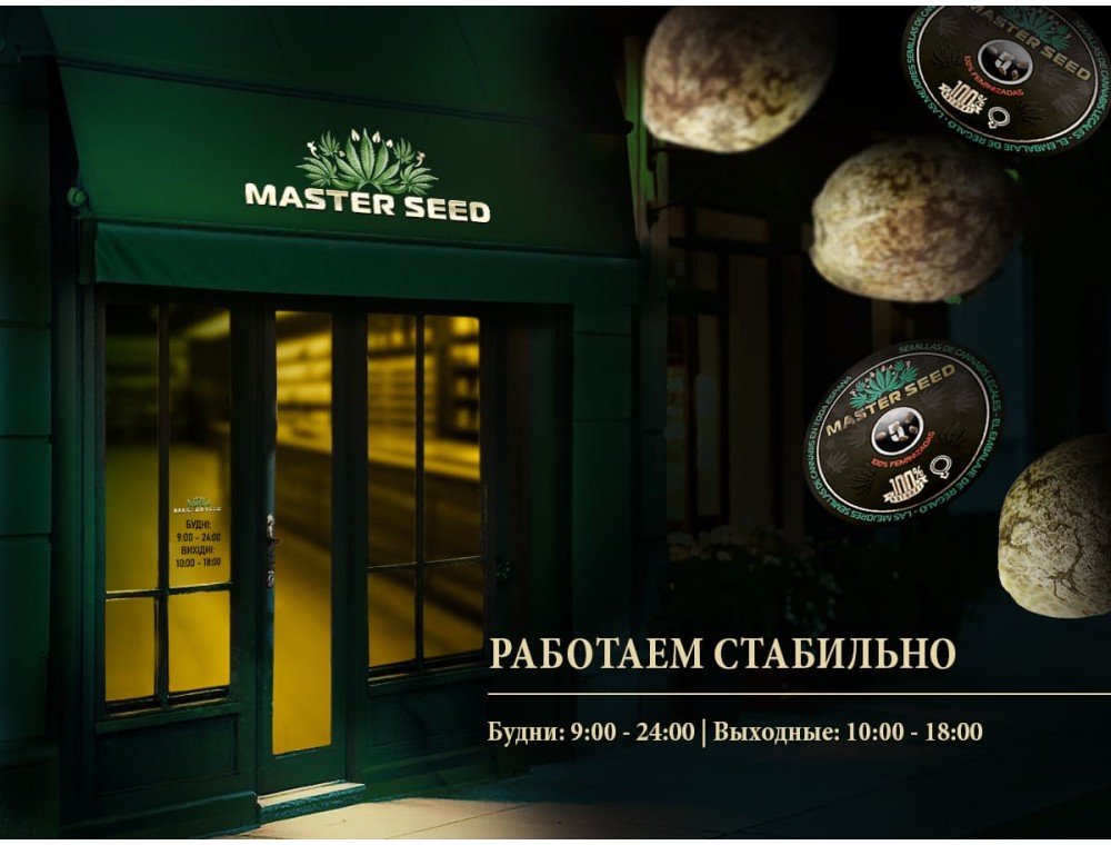 Master Seed работает стабильно