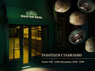 Master Seed работает стабильно