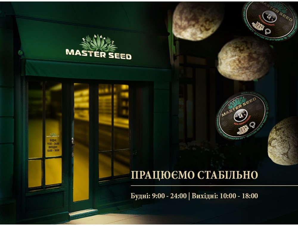 Master Seed працює стабільно