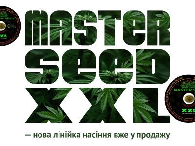 MASTER SEED XXL — нова лінійка насіння вже у продажу 