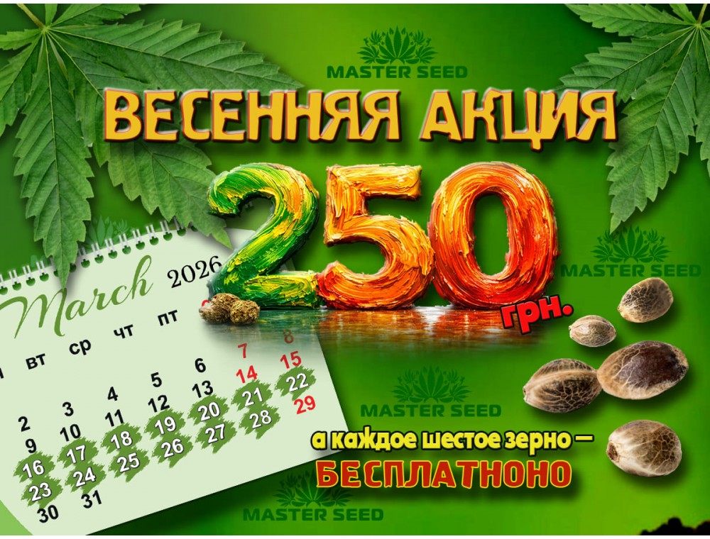 Весеннее предложение от MASTER SEED | бонус 250 грн