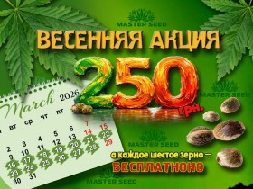 Весеннее предложение от MASTER SEED | бонус 250 грн
