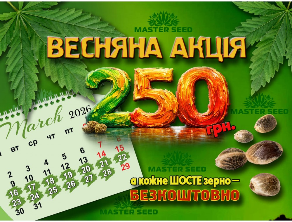 Весняна пропозиція від MASTER SEED | бонус 250 грн