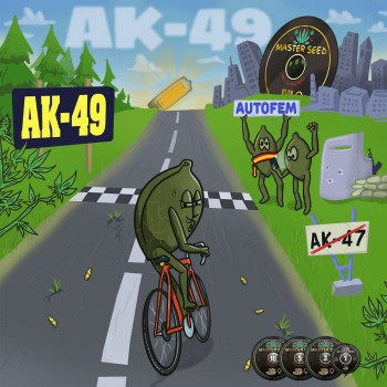 AK-49 autofem.