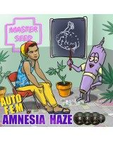 Amnesia Haze autofem.