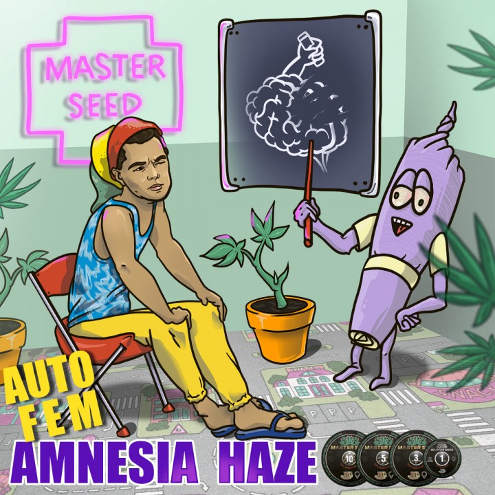 Семена конопли Amnesia Haze autofem.