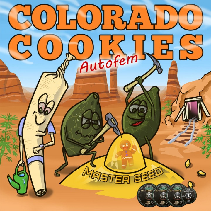 Семена конопли Colorado Cookies autofem.