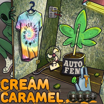 Cream Caramel autofem.