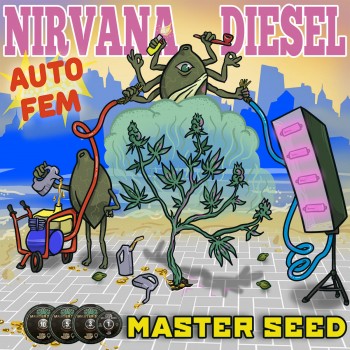 Nirvana Diesel autofem.