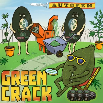 Green Crack autofem.