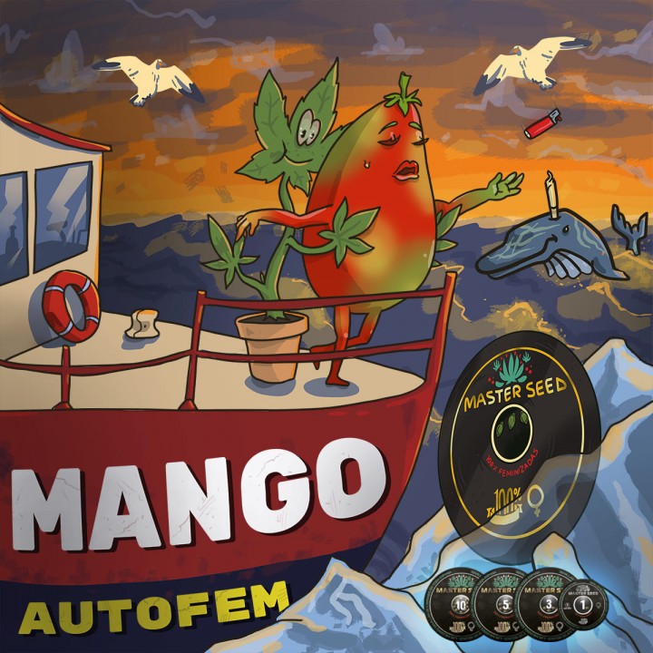 Насіння коноплі Mango autofem.