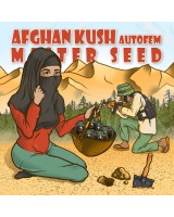 Afghan Kush autofem.