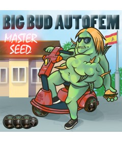 Big Bud autofem.