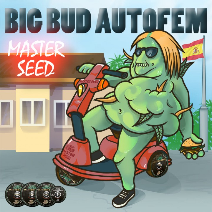 Семена конопли Big Bud autofem.