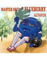 Blueberry autofem.