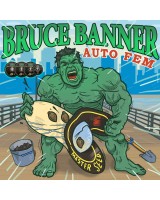 Bruce Banner autofem.