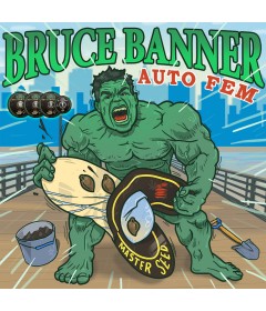Bruce Banner autofem.
