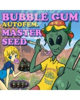Bubble Gum autofem.