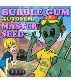 Bubble Gum autofem.