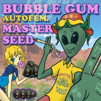 Bubble Gum autofem.