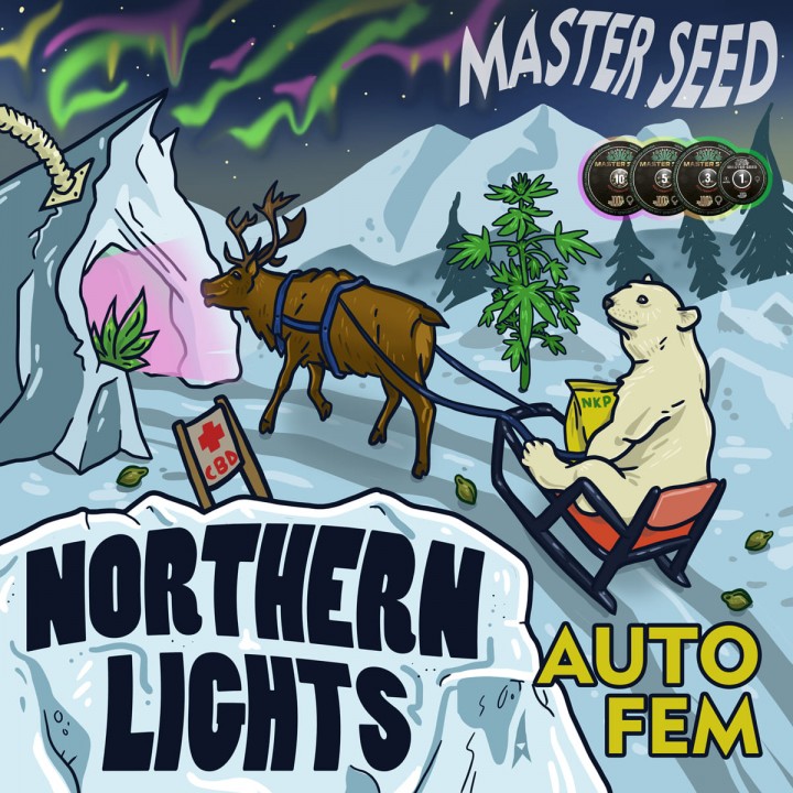 Семена конопли CBD Northern Lights autofem.
