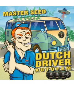 Dutch Driver autofem.