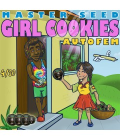 Girl Cookies autofem.