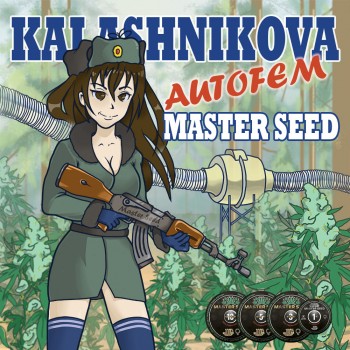 Kalashnikova autofem.