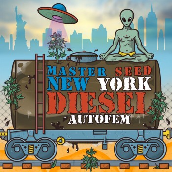 New York Diesel autofem.