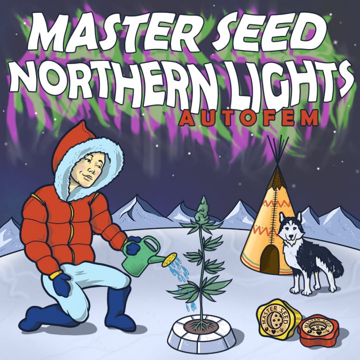 Семена конопли Northern Lights autofem.