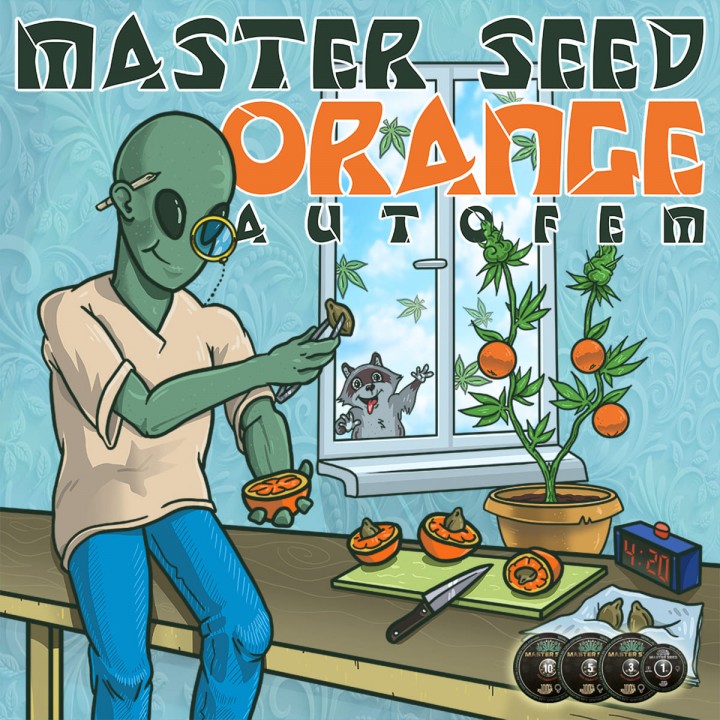 Семена конопли Orange autofem.