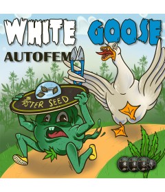 White Goose autofem.