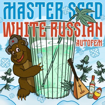 White Russian autofem.