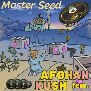 Afghan Kush fem.
