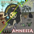 Семена конопли Amnesia fem.