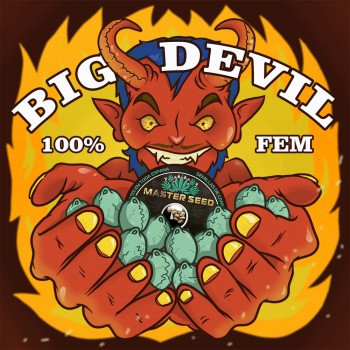Big Devil fem.