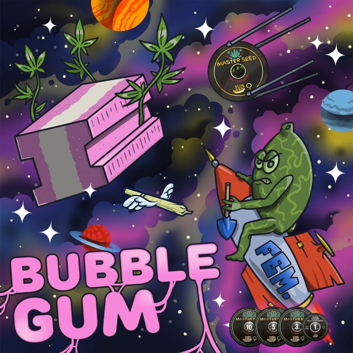 Насіння коноплі Bubble Gum fem.