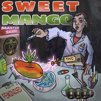 Sweet Mango fem.