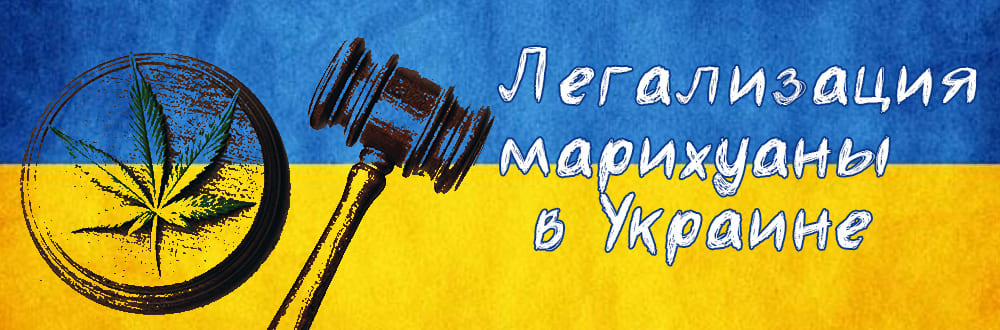 Легализация конопли в Украине